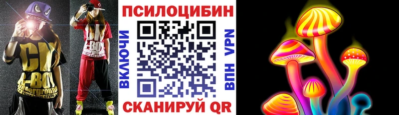 Галлюциногенные грибы мухоморы  darknet Telegram  ссылка на мегу ONION  Злынка  купить  цена 